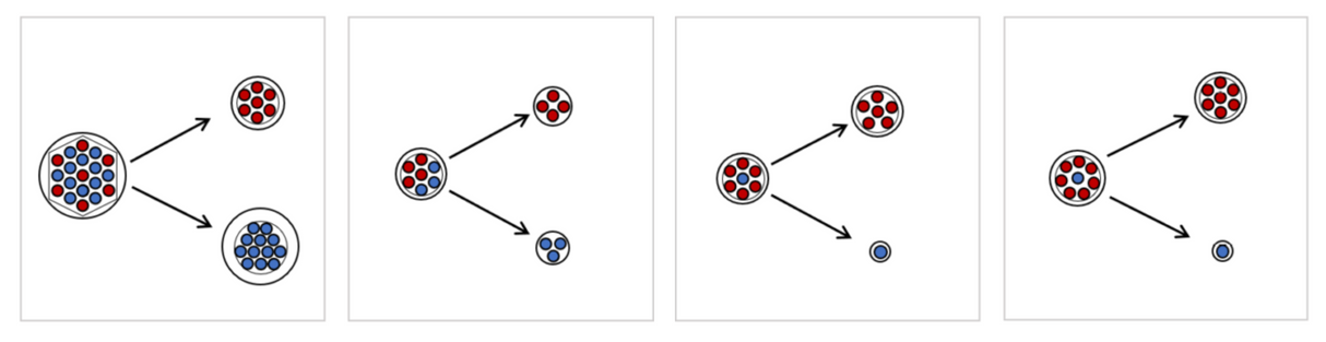 Specular Reflection Fluo Probes