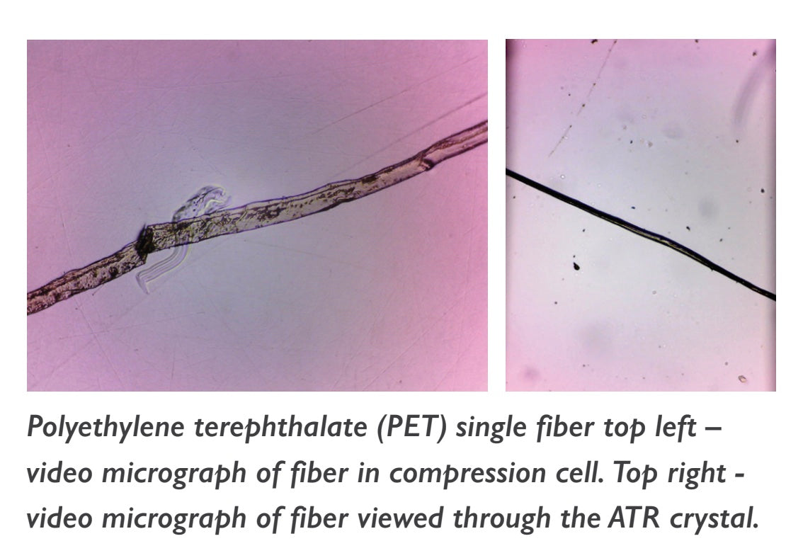 SurveyIR Microscope Unit for Reflection and Transmission